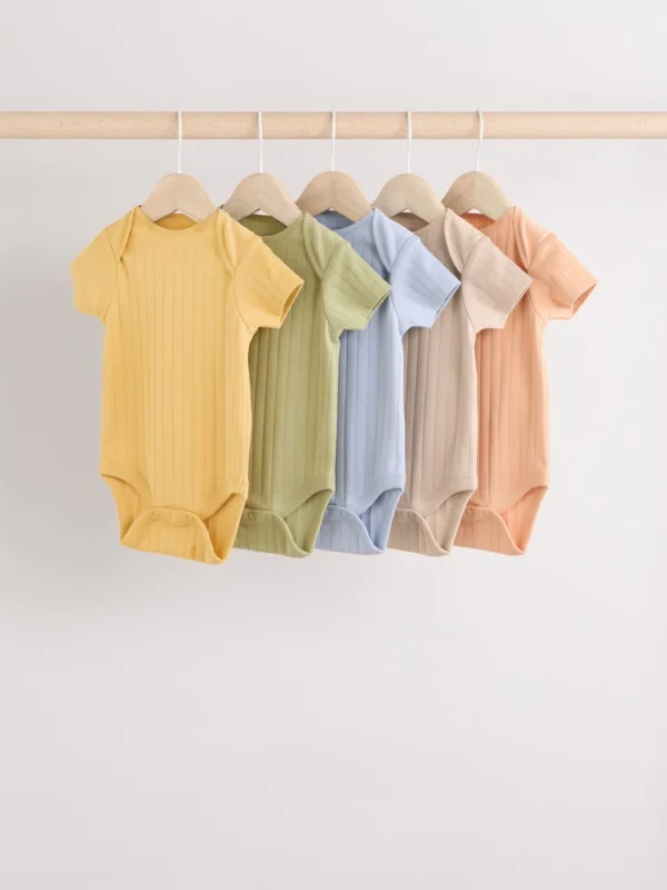 Next  Short sleeves bodysuit  Set of 5